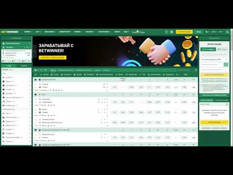 Comprehensive Guide to Betwinner Support 5