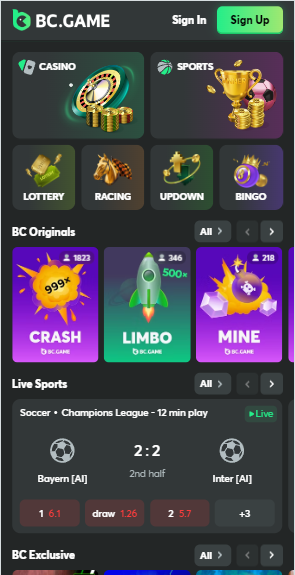 The Ultimate Guide to BC.Game Casino 1 The Ultimate Guide to BC.Game Casino 1