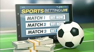 The Ultimate Guide to Bet Jili